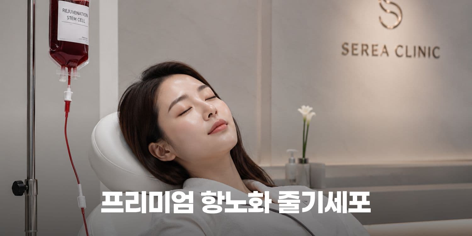 🌿 피부 본연의 재생력을 깨우는 줄기세포 안티에이징 솔루션