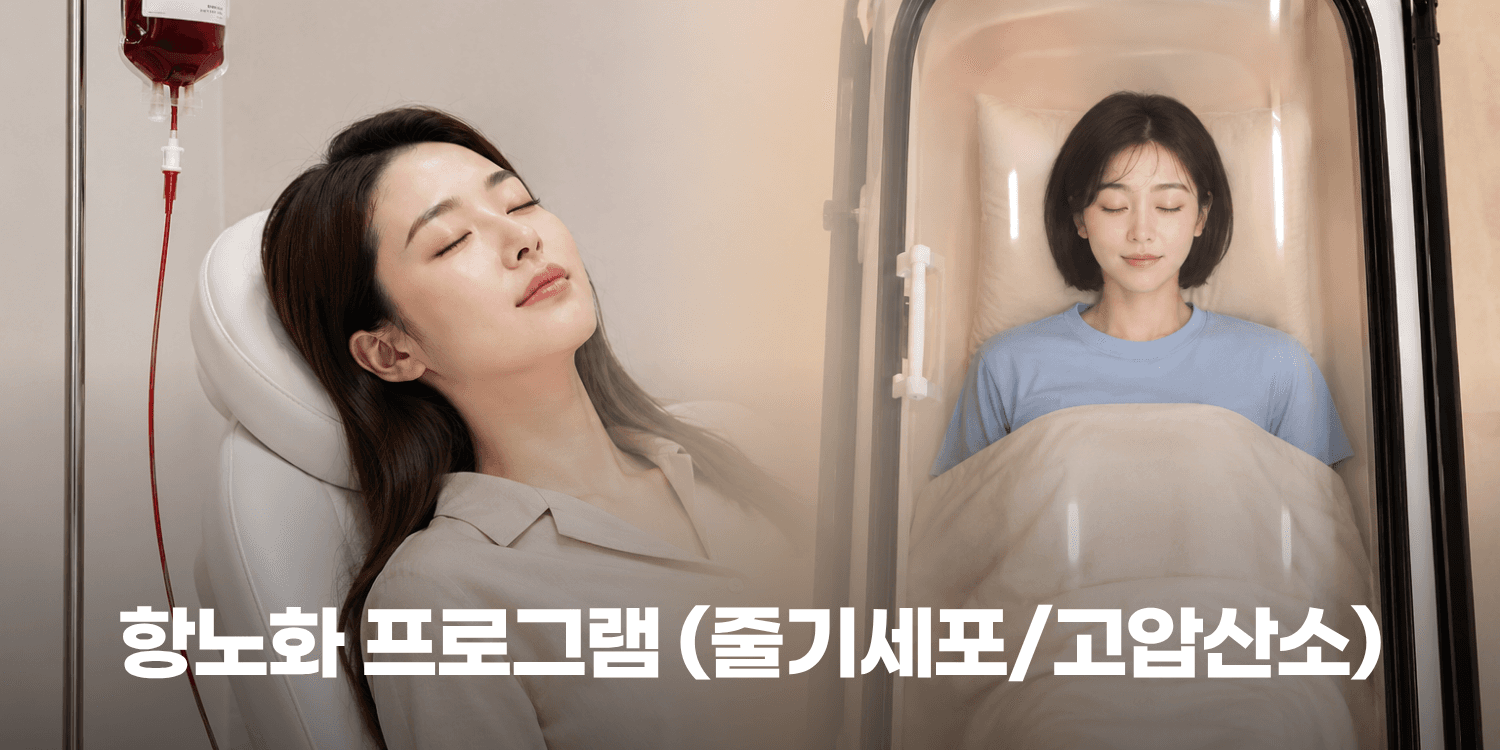 🌿 피부 본연의 재생력을 깨우는 안티에이징 솔루션